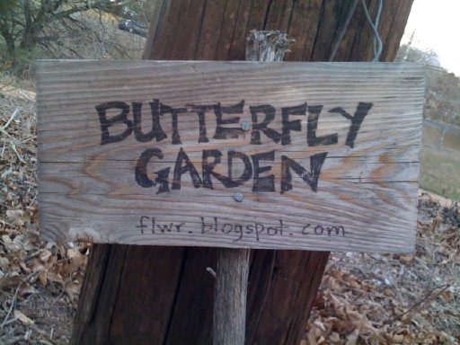 butterflygarden