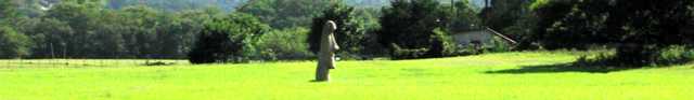 Easter Island head sans chapeau in Hunt Texas