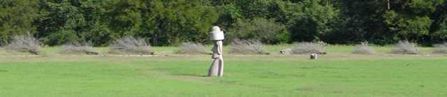 Easter Island head avec chapeau in Hunt, Texas