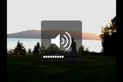 iphone volume control screenshot
