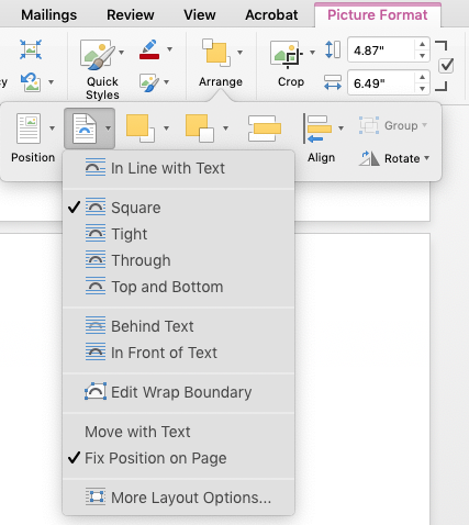 Microsoft Word's text-wrap pane